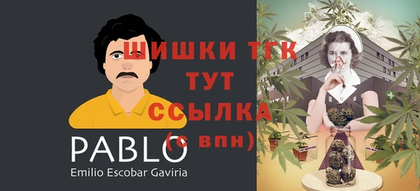 apvp Бугульма